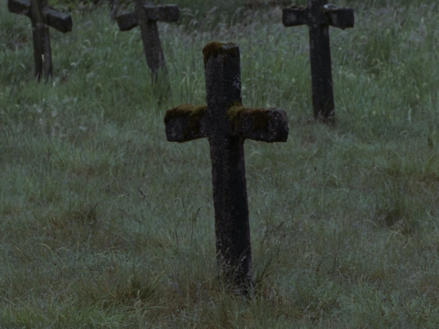 Een houten kruis in een veld vol kruisen